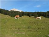 Rifugio Ra Stua - Rifugio Sennes